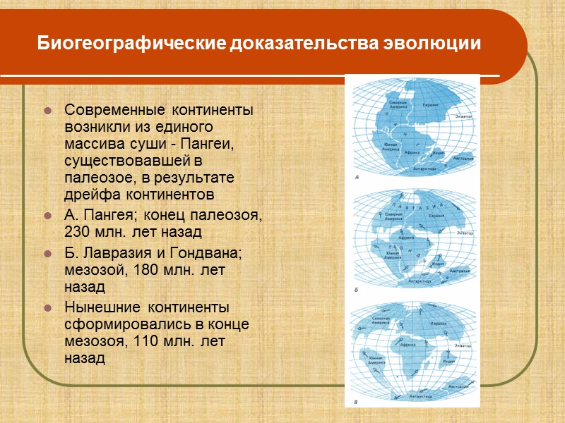 Установите соответствие доказательства эволюции примеры