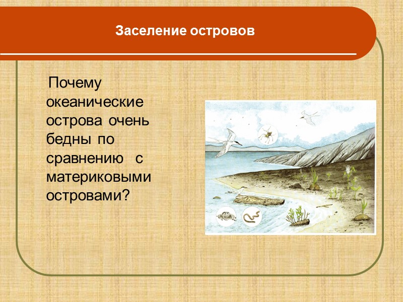 Филогенетический ряд лошади (Воссоздал В.О.Ковалевский)
