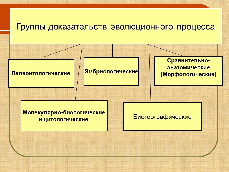 Доказательства эволюции таблица. Макроэволюция доказательства эволюции живой природы таблица. Группы доказательств эволюции процесса. Доказательства эволюционного процесса. Группы доказательств эволюционного процесса таблица.