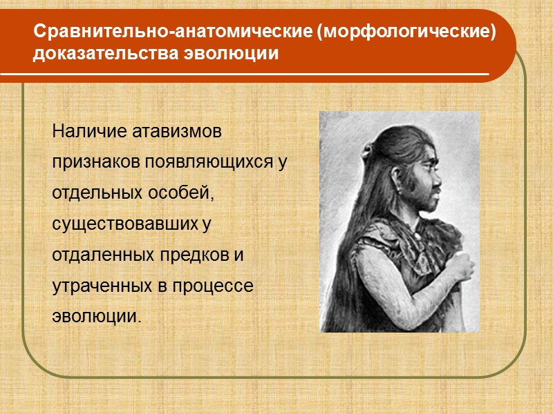 Таблица №1  Доказательства эволюции органического мира