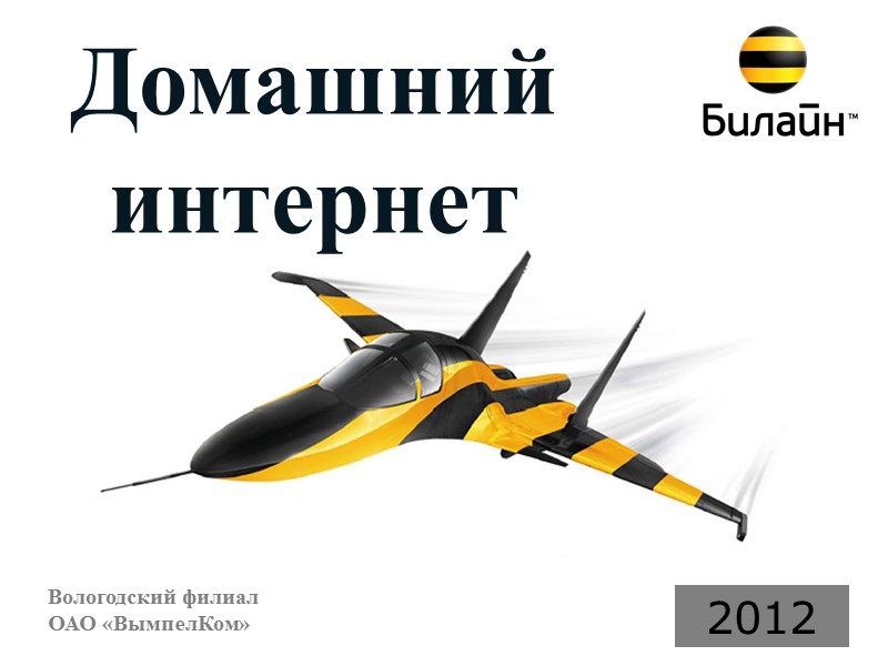 Вологодский филиал ОАО «ВымпелКом» 2012 Домашний интернет