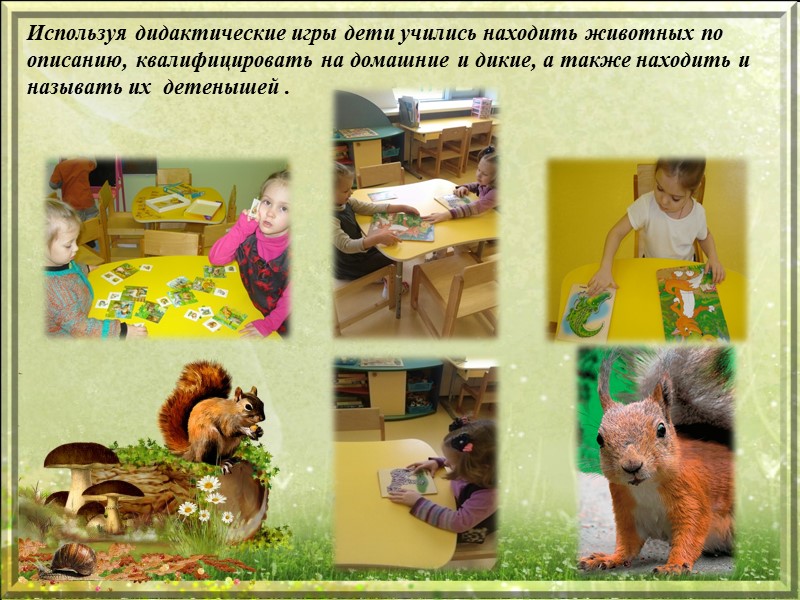 Актуальность реализации проекта: Воспитание бережного и заботливого отношения к животным имеет большое значение Актуальность реализации проекта: Воспитание бережного и заботливого отношения к животным имеет большое значение