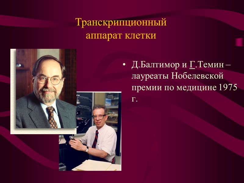 Молекулярно-генетический уровень организации живого Центральная догма молекулярной биологии показывает направление передачи наследственной информации в