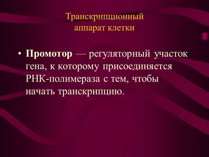 Молекулярная биология   Ф.Крик и Дж.Уотсон в 1953 г.