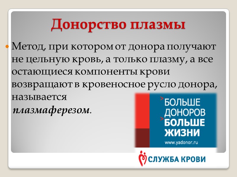 Путь донора на СПК. Шаг седьмой. После донации каждому донору выдается справка, которая дает