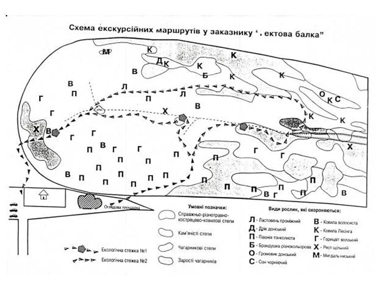 Проростання воронців в диких умовах на даній території призвело до створення гербу Добропільського району