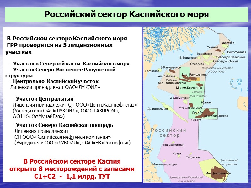 Распределение запасов углеводородов по акваториям морей на Российском шельфе