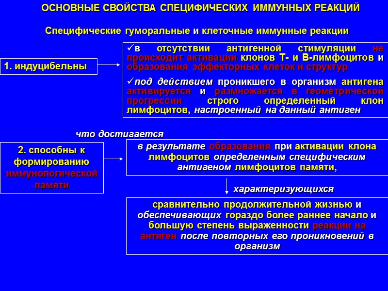 СУЩНОСТЬ КЛОНАЛЬНО-СЕЛЕКЦИОННОЙ ТЕОРИИ ИММУНИТЕТА 1. каждый клон лимфоцитов проявляет специфичность в отношении строго определенного