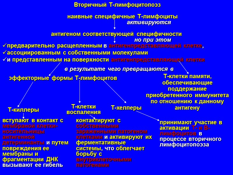 ПОНЯТИЕ О НЕСПЕЦИФИЧЕСКОМ ИММУНИТЕТЕ система предсуществующих врожденных защитных факторов и механизмов организма, которые являются