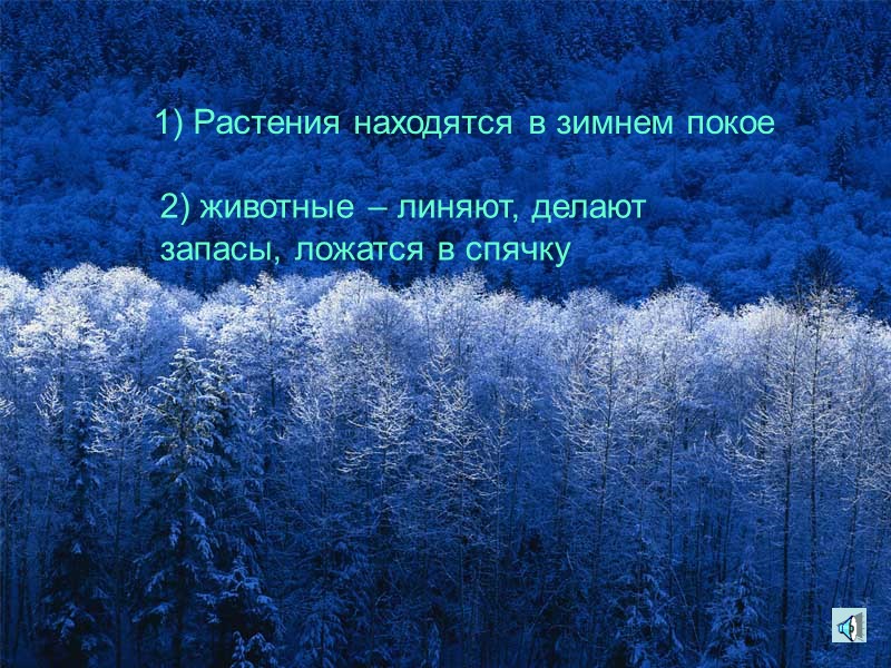 Снится ночью пауку Чудо–юдо на суку. Длинный клюв и два крыла… Прилетит – плохи