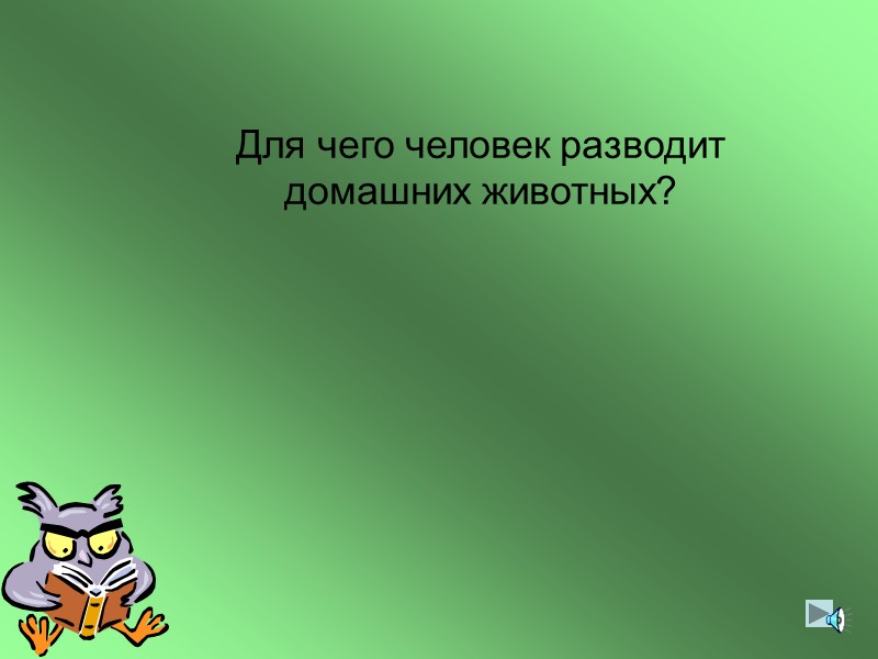 Крыша в шапке меховой, Белый дым над головой Двор в снегу. Белы дома. Ночью