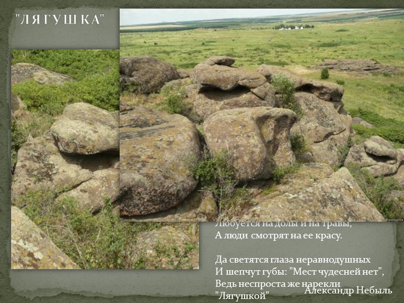 У центральной усадьбы заповедника выставлены древние каменные бабы, свезённые с разных мест в степи.