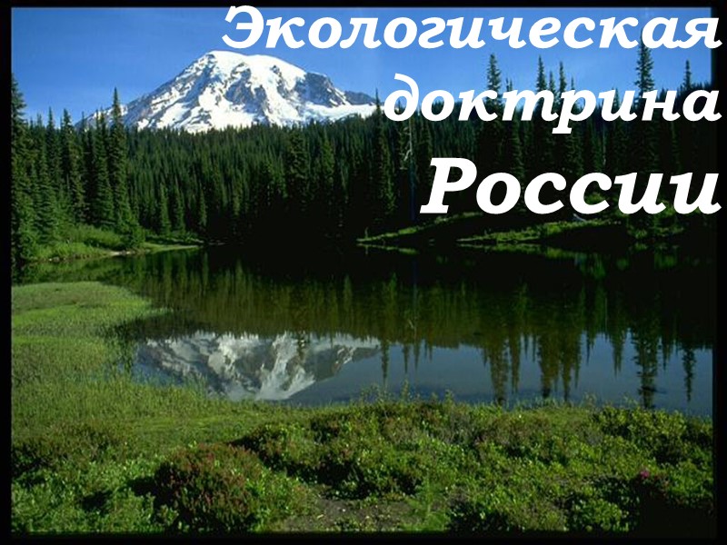 Экологическая  доктрина  России