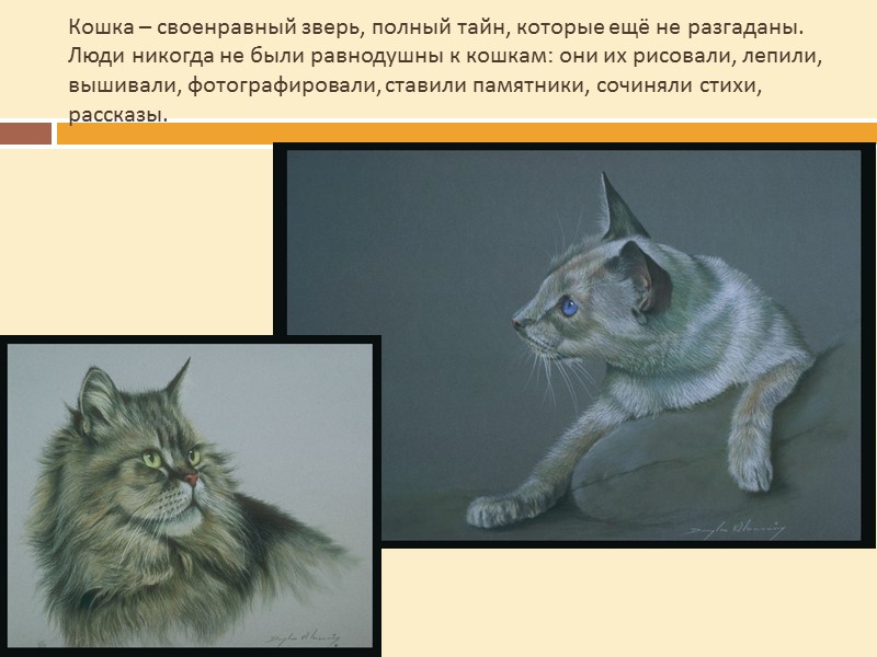 Кошки прекрасно предсказывают изменения погоды. Кошка закрывает лапами нос Быть морозу Кошка лежит брюхом