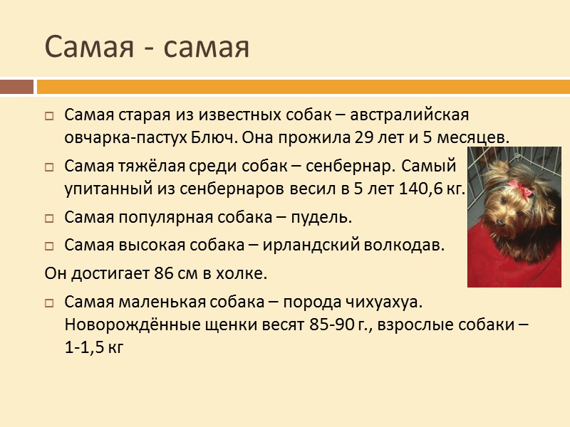 Кошки поселились с человеком 4 тысячи лет назад. Предком современной кошки считается ливийская или