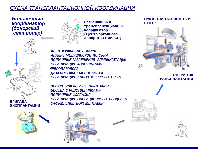 Деятельность городских стационаров по обеспечению программы органного донорства регламентируется Распоряжением Комитета по здравоохранению Правительства