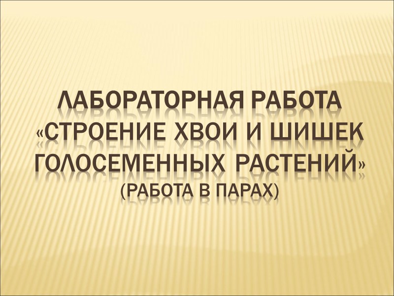 Голосеменные- наиболее древняя группа высших семенных растений. Появились в пермском периоде палеозоя.