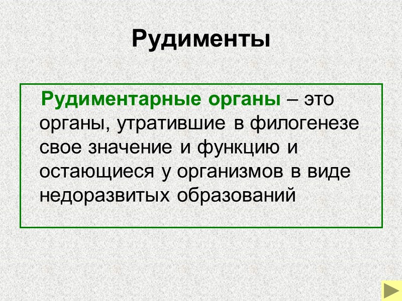 Гаттерия    Гаттерия – рептилия, обитающая в Новой Зеландии. Этот вид является