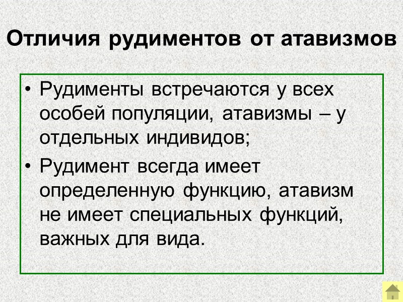 Гомология органов     Гомология слуховых косточек позвоночных    