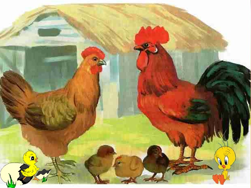 Как  передвигаются