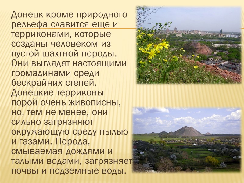 Участок реликтовой ковыльной степи Донецкой возвышенности.