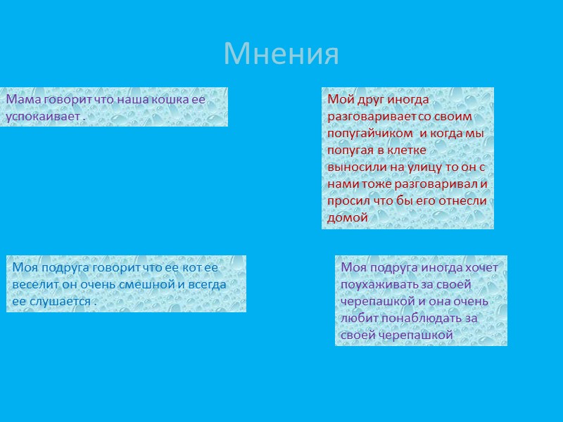 Мнения Мама говорит что наша кошка ее успокаивает . Мой друг иногда разговаривает со