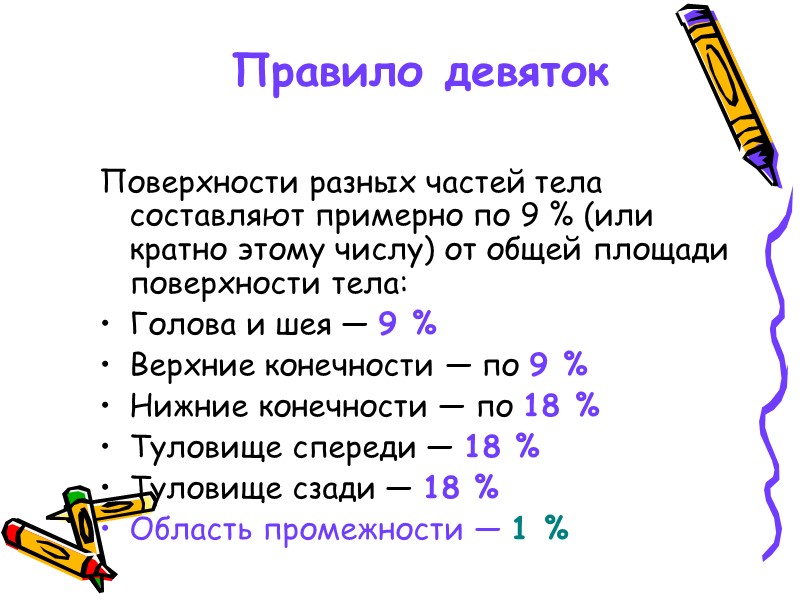 Дыхательная система