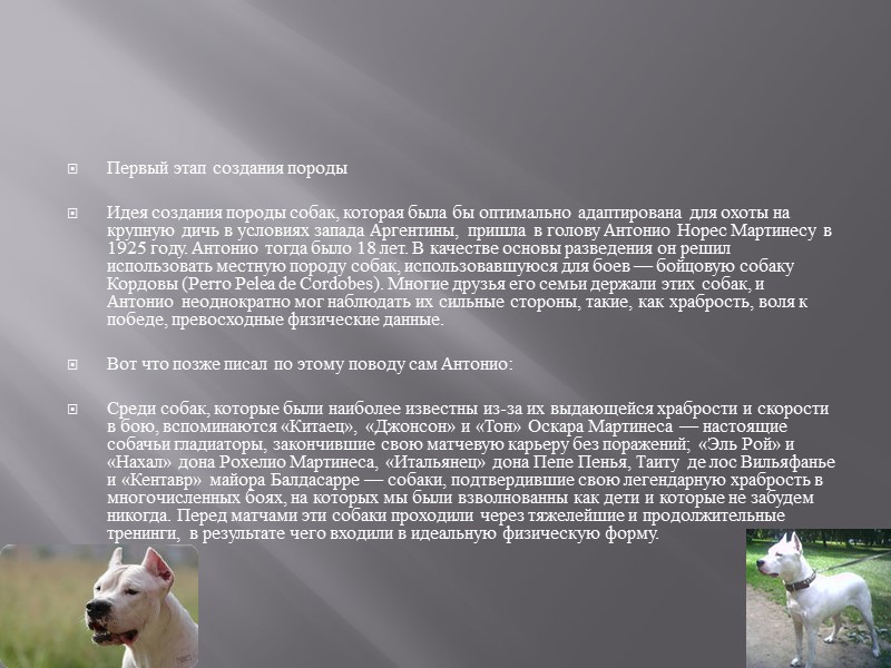 Как национальная порода аргентинский дог состоялся 21 мая 1964 года, когда был признан Кинологической