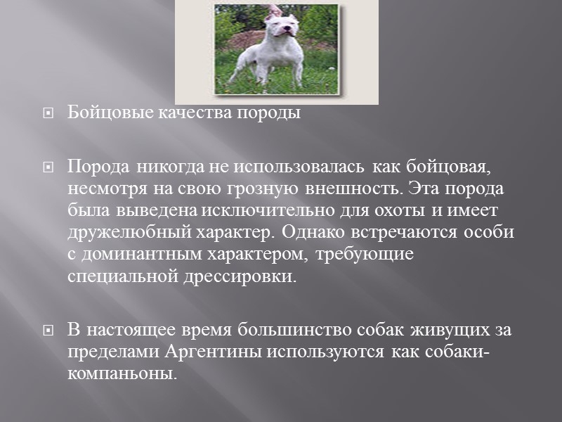Охранные качества породы  В современном мире технологий собака уже не может выполнять тех