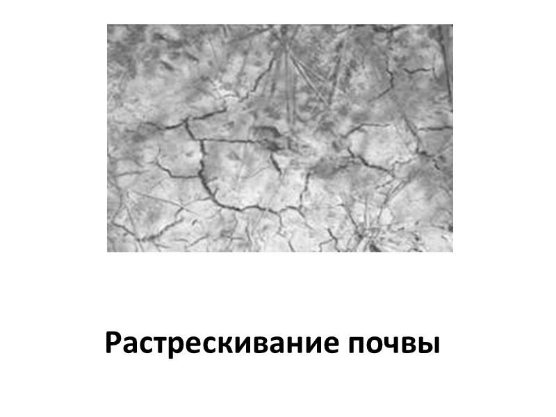 3. Ферраллитизация - процесс внутрипочвенного выветривания первичных минералов с образованием и относительным накоплением in