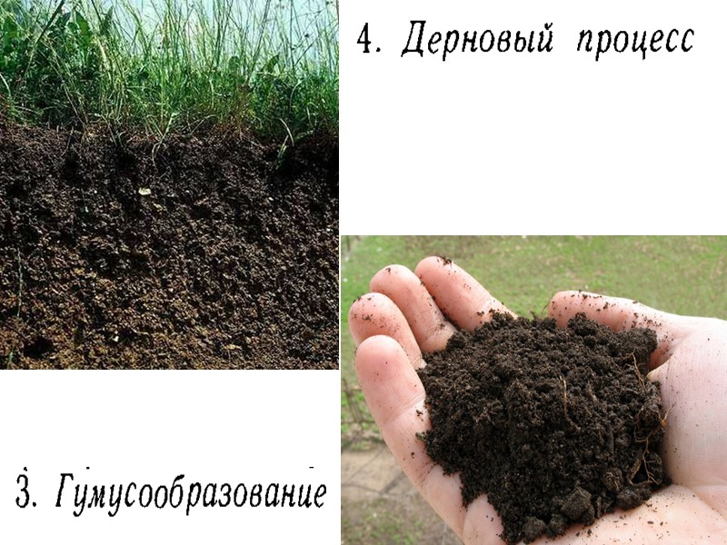 7. Деструктивные ЭПП – это группа процессов, ведущих к разрушению почвы как природного тела