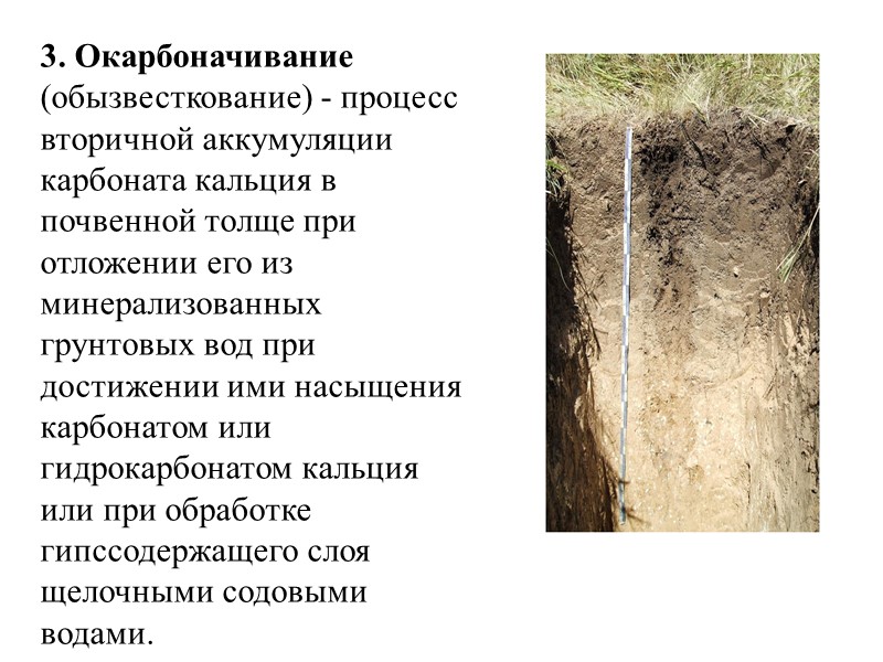 1 Тип     Чернозем 2 Подтип   обыкновенный 3 Род