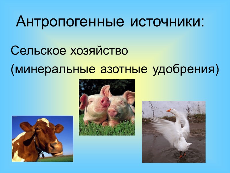 Кислотные дожди (кислые дожди), атмосферные осадки (снег, туман, роса) называют кислотными только в том