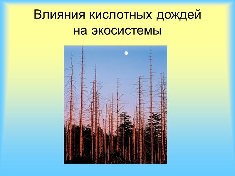 Антропогенные источники:  Печи в частном секторе Мусорные свалки