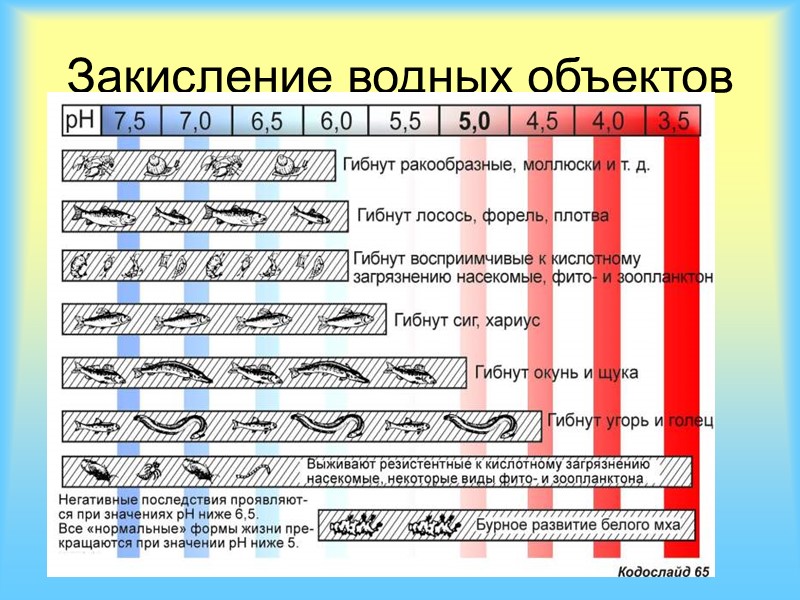 Природные ( 700 млн. тонн в год)  Антропогенные  Техногенные  Источники поступления