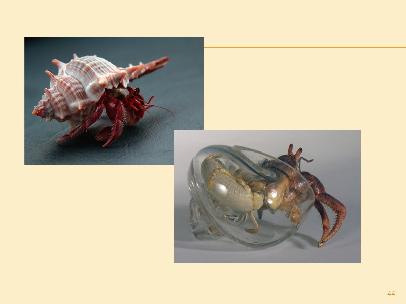 Агентирование: отчет о расходах к отчету агента должны быть приложены необходимые доказательства расходов, произведенных