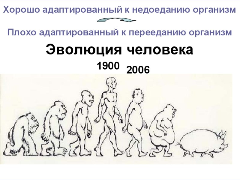 Откажитесь от посещения фаст-фуда – забегаловок быстрого питания с низкокачественной и высококалорийной пищей 