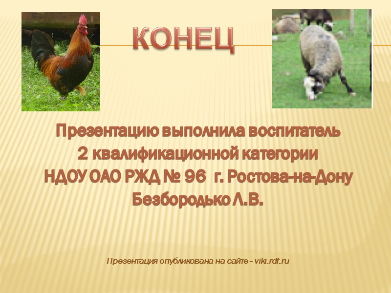 Коровы пасутся до наступления темноты