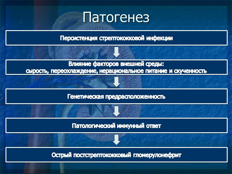 Патогенез Персистенция стрептококковой инфекции Патологический иммунный ответ Острый постстрептококковый гломерулонефрит Генетическая предрасположенность Влияние факторов