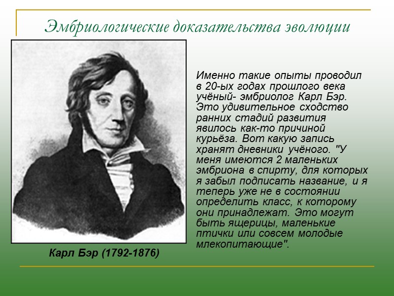 Сравнительно-морфологические доказательства эволюции: гомологичные органы Скелет передней конечности различных позвоночных животных: 1 ― лягушки;