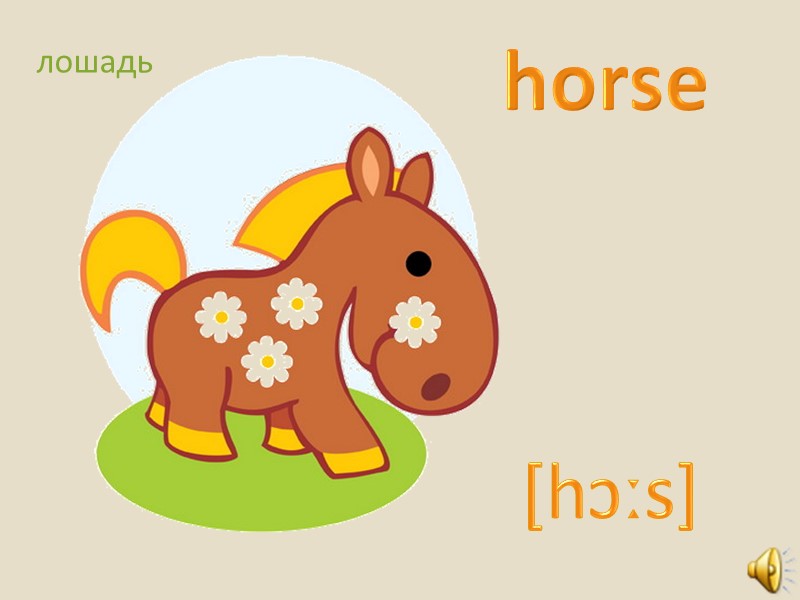 [pɪg]  pig свинья