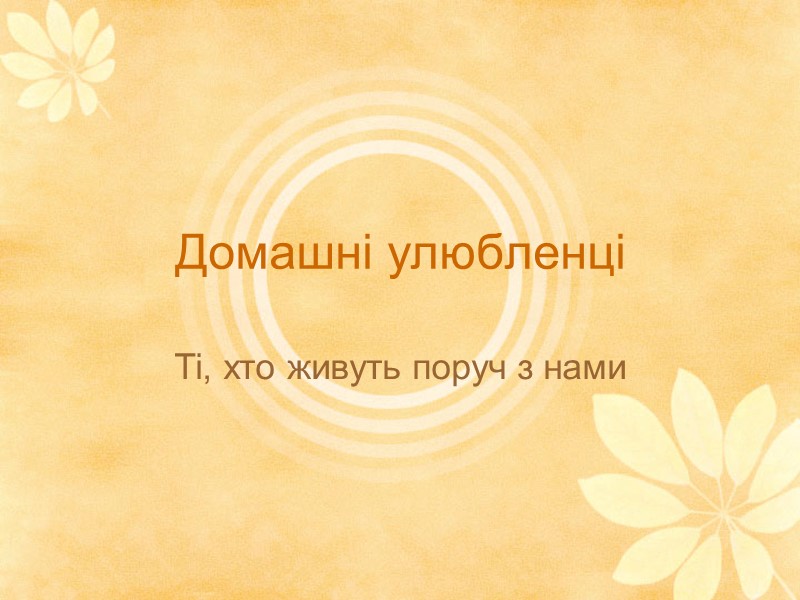 Домашні улюбленці Ті, хто живуть поруч з нами