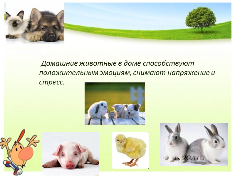 Все представители семейства собак происходят от волкоподобного существа. Повадки и привычки диких собак унаследовали