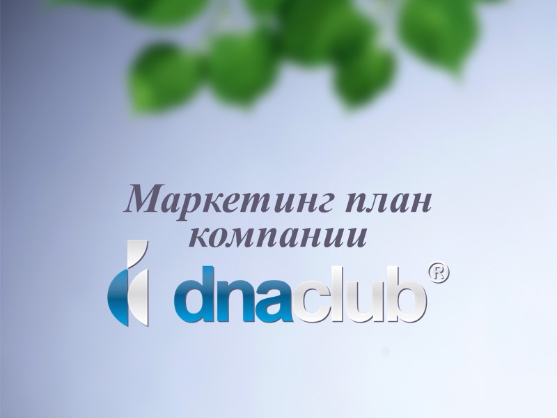 Маркетинг план компании