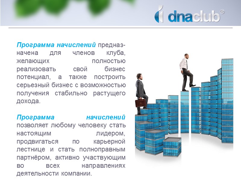 Схема выплат в процентах Структурный и квалификационный бонусы суммируются