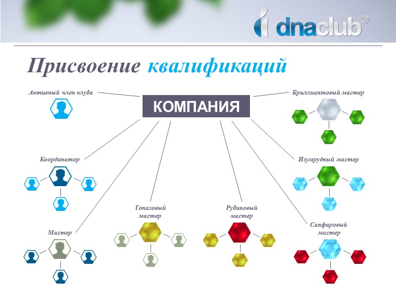 Маркетинг план SW CJ dctvb rke,FVB.