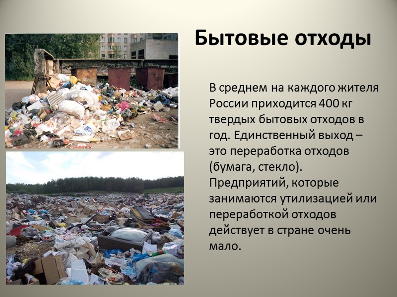 5 января 2016 года президент РФ подписал Указ «О проведении Года экологии в 2017
