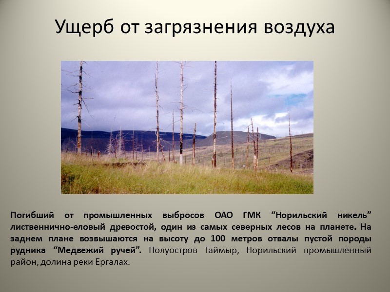 Радиоактивное загрязнение На многих атомных станциях оборудование устарело и ситуация приближается к катастрофической, ведь