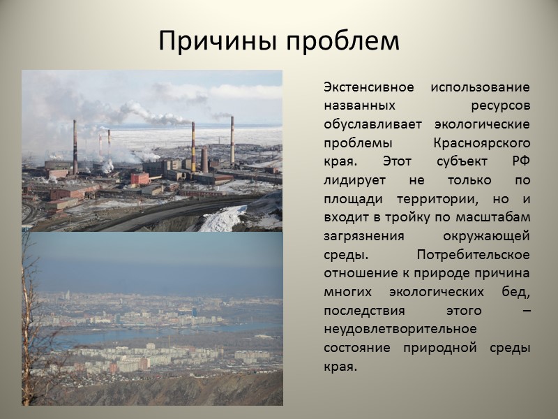 Проблемы экологии в России Загрязнение воздуха Вырубка лесов Загрязнение водных источников и почвы Бытовые