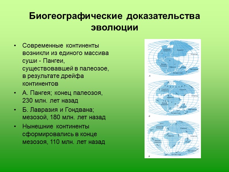 Доказательство эволюции органического. Молекулярные биогеографические доказательства эволюции. Макроэволюция биогеографические доказательства. Биогеографические доказательства эволюции таблица. Доказательства эволюции таблица 11 класс биогеографические.